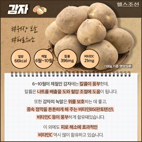 감자 100g 영양성분