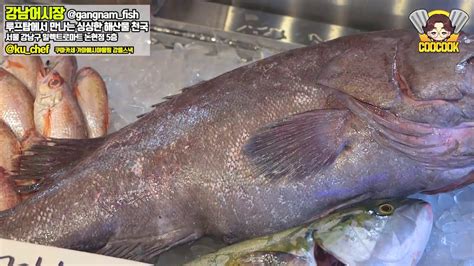 강남 fish