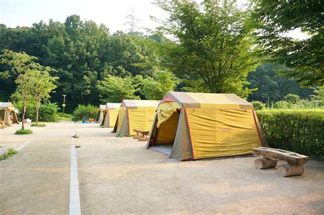 강동 캠핑 장