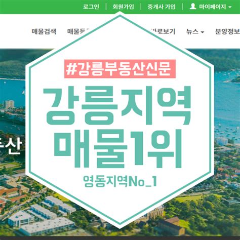 강릉 부동산 신문