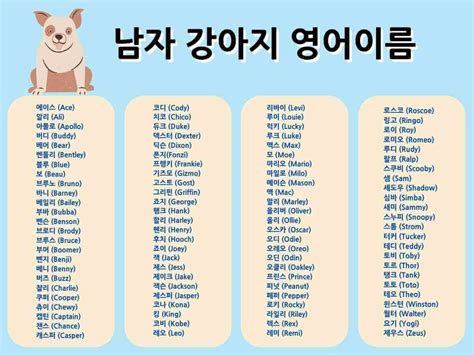 강아지 이름 추천 - 태국어 이름, 150가지 추천 리스트