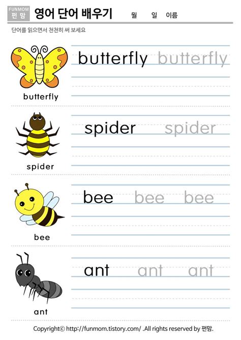 거미 영어 - 초등영어, 동물/아기 동물 모음! 초등영단어 공부