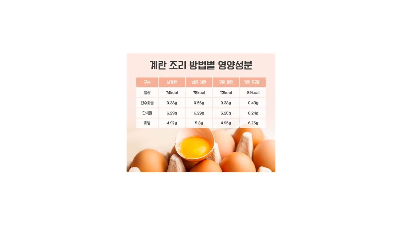 계란 1개 단백질 함량 (Fuphny1)