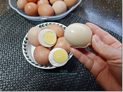 계란 한개 단백질