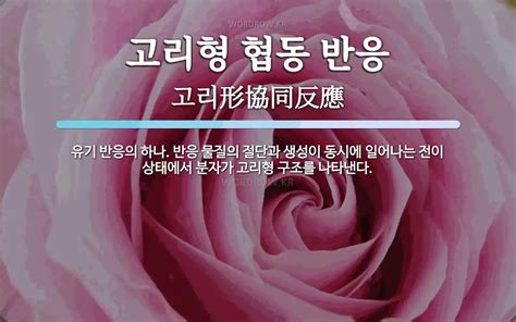 고리형협동반응 - 위키백과, 우리 모두의 백과사전