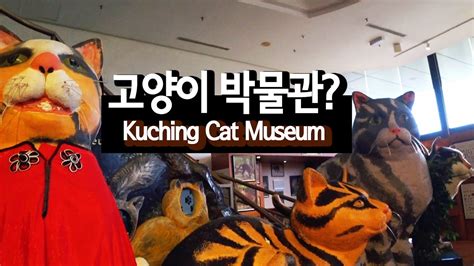 고양이 박물관 accommodation