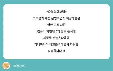 고추 평가