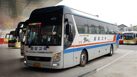 광주 서울 고속 버스