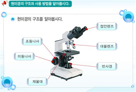 광학현미경의 구조와 사용방법 레포트샵