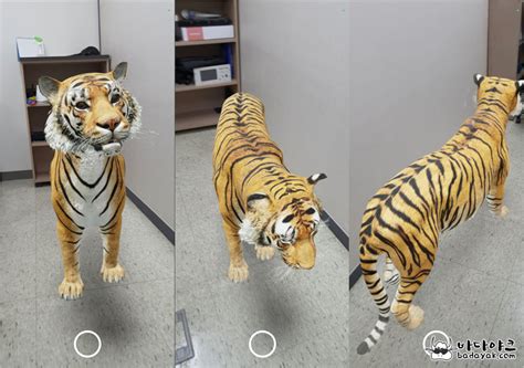 구글 3D 동물