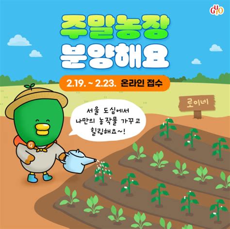 구청 주말