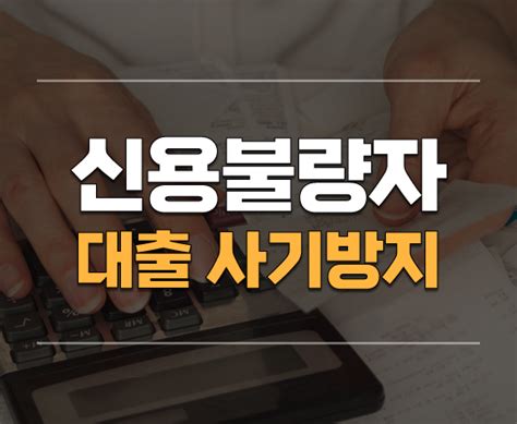 금융정보넷