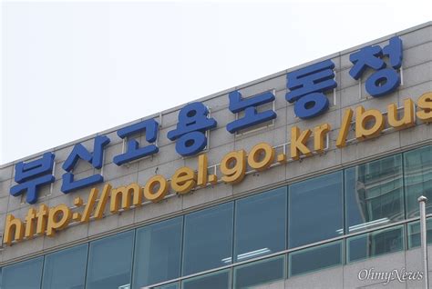 기업정보 주 강남 부산지방고용노동청