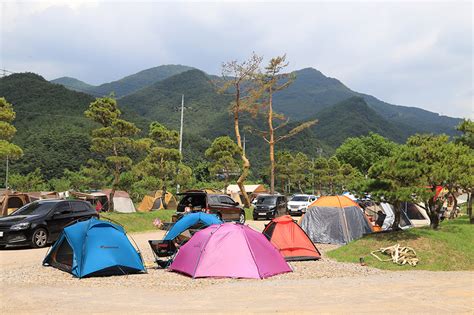 김삿갓 계곡 캠핑 장