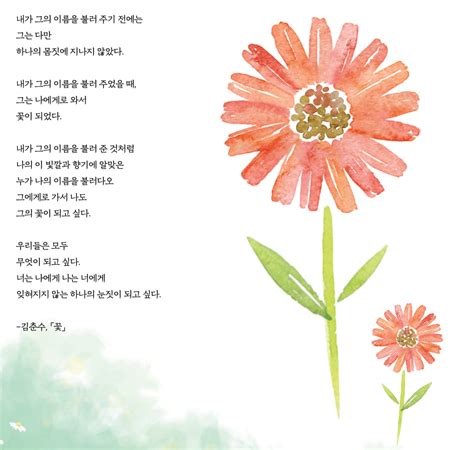 김춘수 꽃 전문
