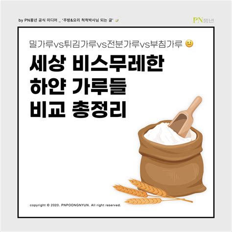 김치 튀김 - 튀김가루 vs 전분가루 차이 ft. 꿀비율