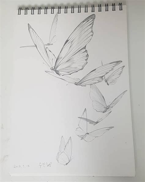 나비 스케치