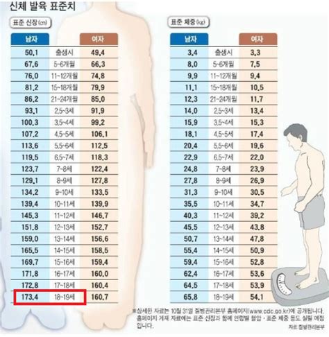 남자 발 사이즈 평균
