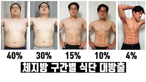 남자 평균 체지방률