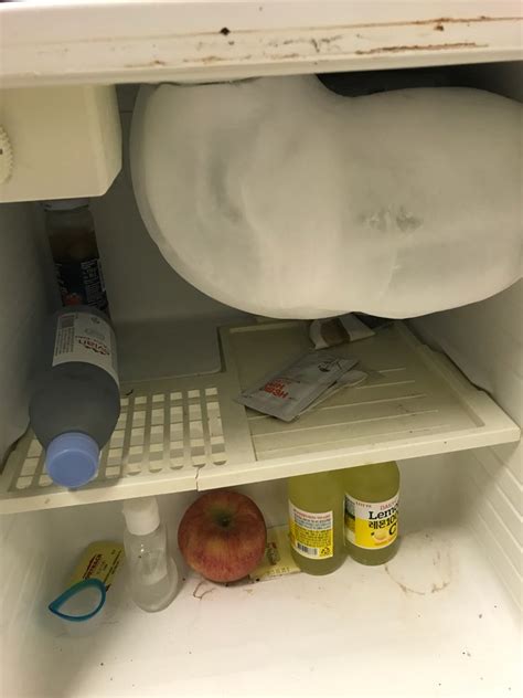냉장고 성에