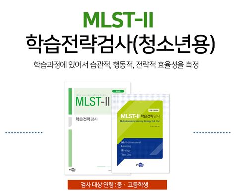 네이버 블로그>MLST II 학습전략검사 대학생용 후기