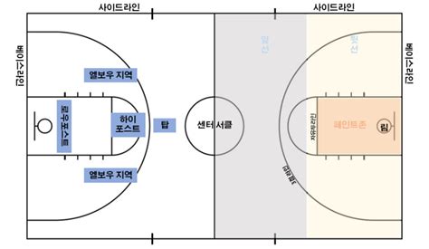 농구 규칙 바이얼레이션의 기본 트래블링과 더블드리블, 시간