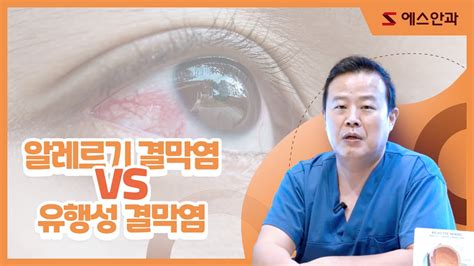 눈 점막 - 미세먼지 속 고통받는 눈, 증상별 알레르기 결막염 구분법