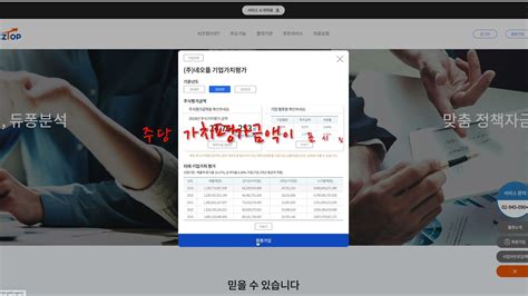 다빛솔루션 허정영 회사정보, 기업가치평가액 파인드컴퍼니