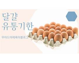 달걀 유통 기한 《N2X67A5》
