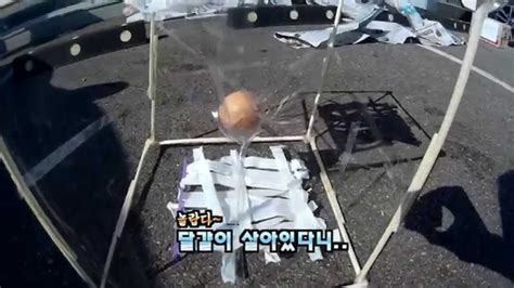 달걀 낙하 실험