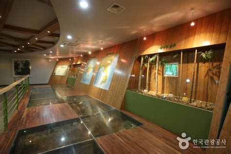 대나무 박물관 accommodation