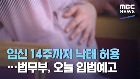 대한민국 법무부 - hitomi 임신