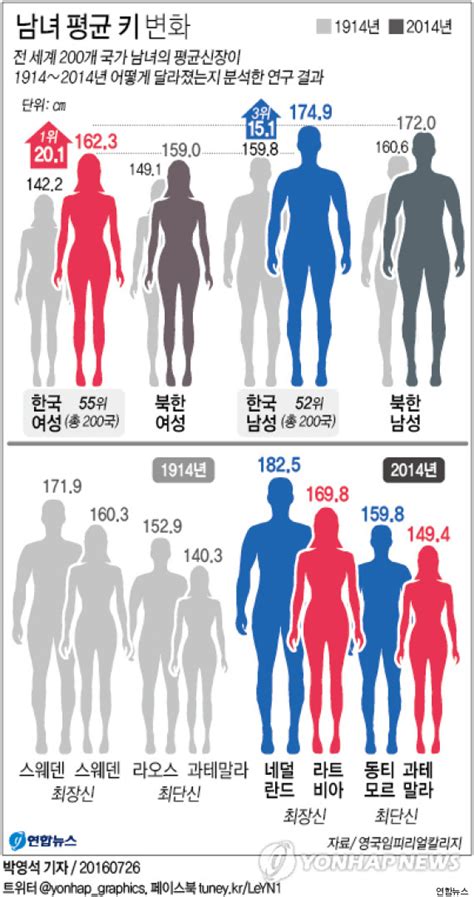 대한민국 여자 평균 키