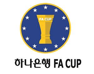 대한민국 FA컵 - 한국 fa 컵