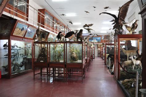 동물학 박물관 accommodation