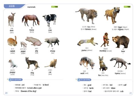 동물 이름 사전