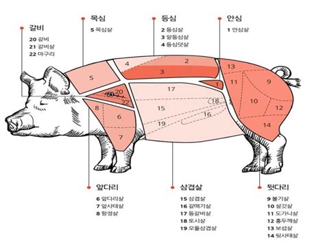 돼지고기 부위별 명칭 네이버 블로그 - 돼지 횡경막