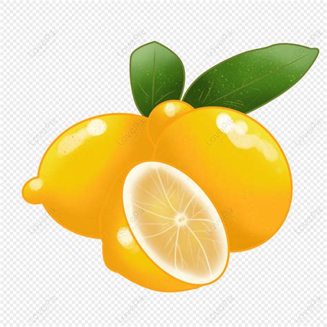레몬 일러스트
