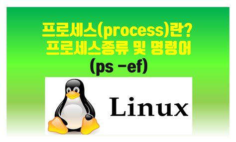 리눅스 프로세스 확인
