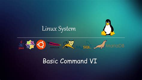 리눅스 vi