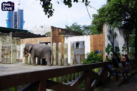 마닐라 동물원 accommodation