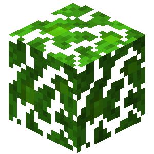마크 나뭇잎 - 잎 Minecraft 위키