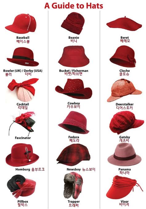 모자 의 종류