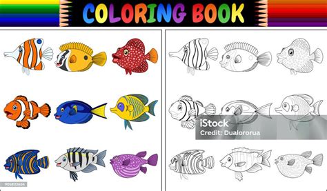 물고기 색칠공부