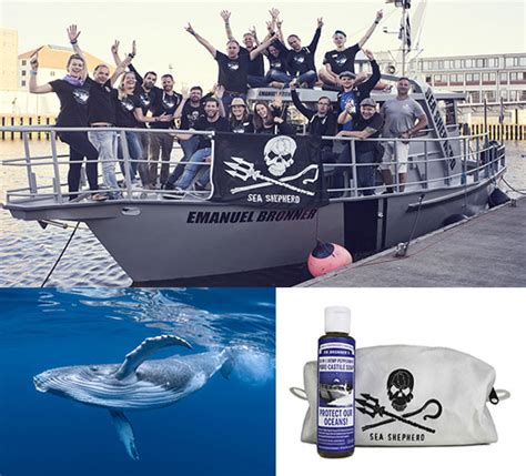미국 환경환경단체 시셰퍼드 Sea Shepherd 가 올해는 일본