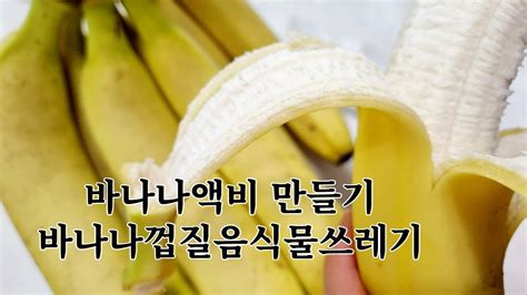 바나나 껍질 음식물