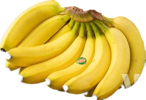 바나나 도매
