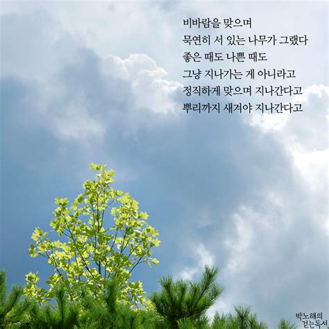 바람 과 나무 의 시