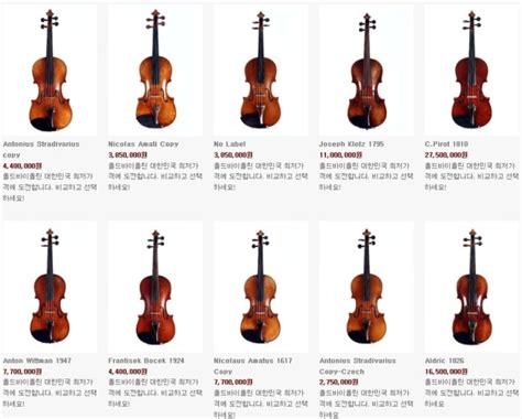 바이올린 종류