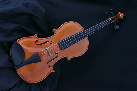 바이올린-현악기
